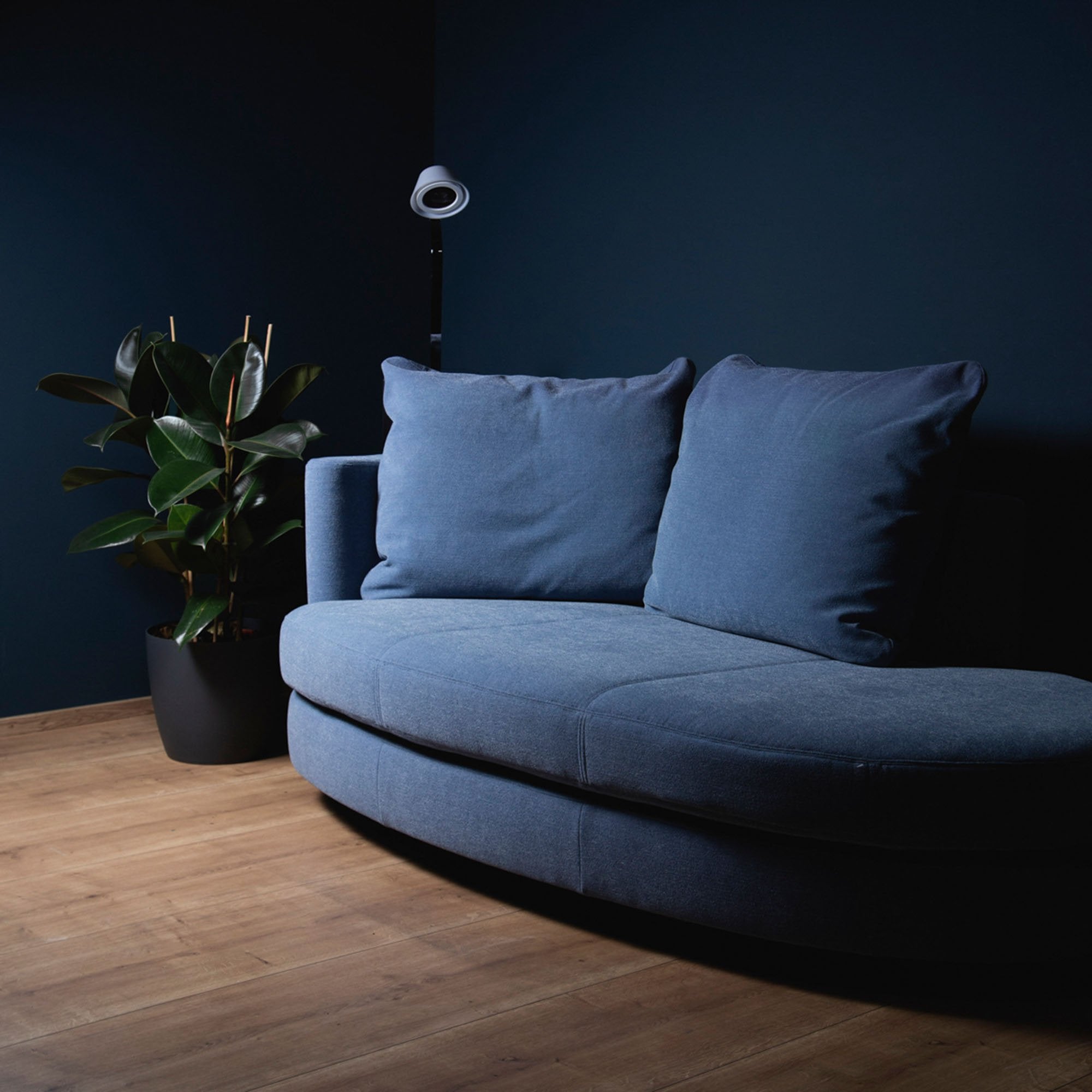 Rolf Benz Stoffsofa, blau, gebrauchte Designermöbel bei Revive in Köln - buero moebel, moebel online, gebrauchte möbel, möbel online, möbel kauf, schlafsofas günstig, möbel online kaufen, second hand möbel, möbel, möbelhaus, möbelhaus köln