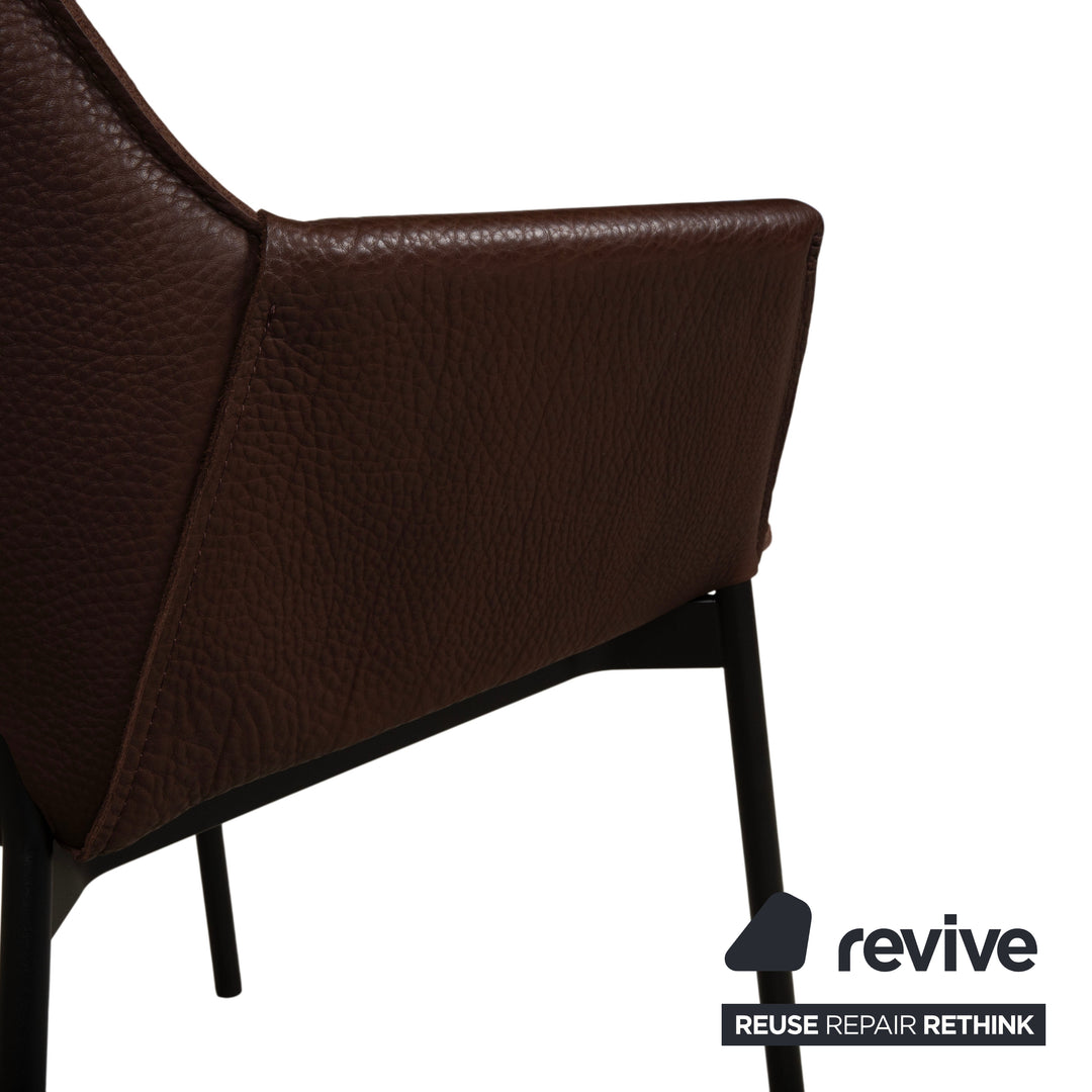 6er Garnitur Freifrau Grace Arm Chair Leder Stuhl Braun