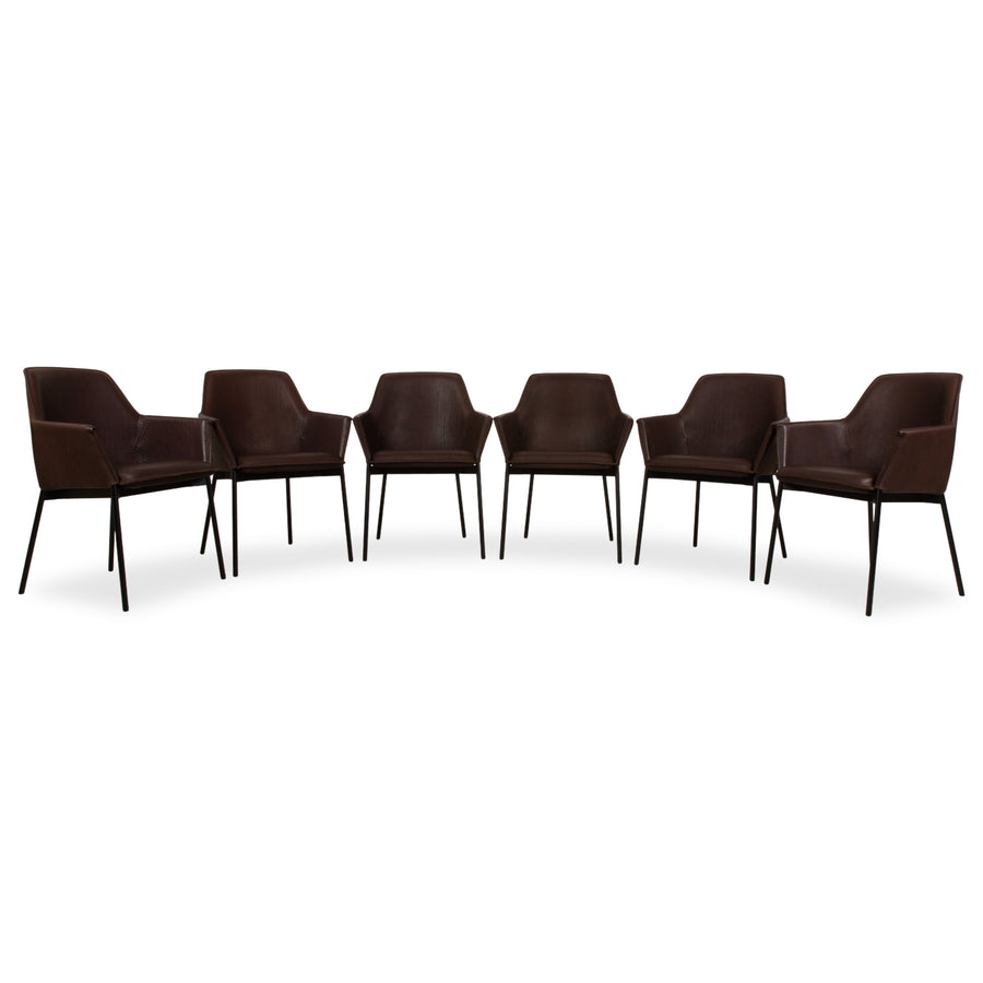 6er Garnitur Freifrau Grace Arm Chair Leder Stuhl Braun