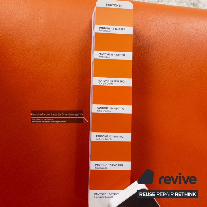 Calia Leder Sessel Orange