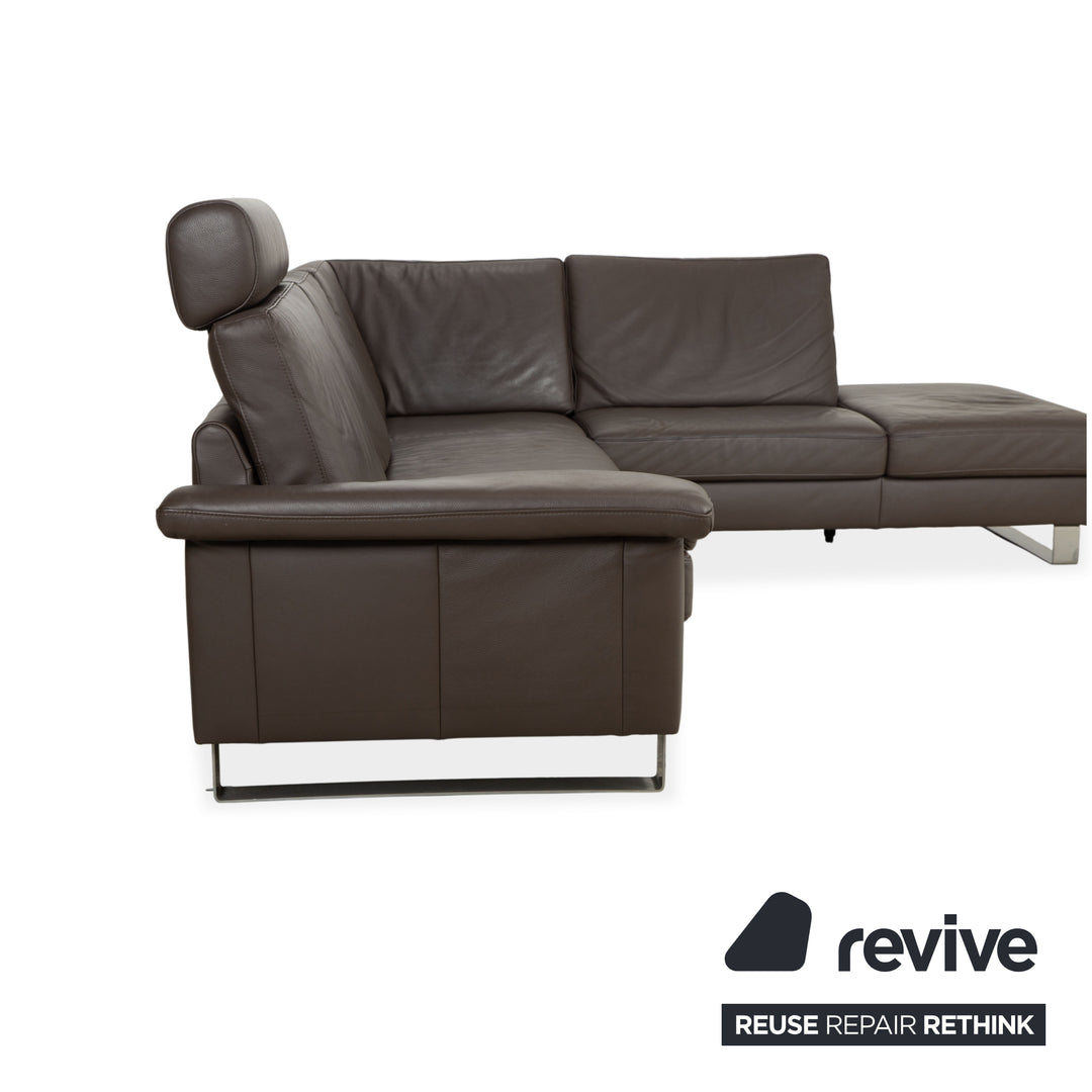 Canapé d'angle en cuir Ewald Schillig Concept Plus marron