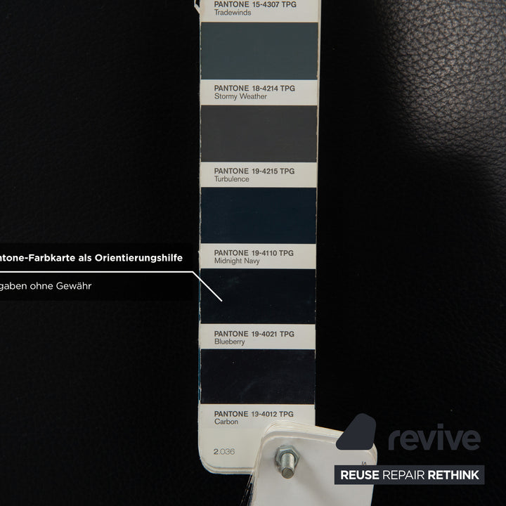 Fauteuil lounge en cuir Silence d'Ewald Schillig, bleu-gris