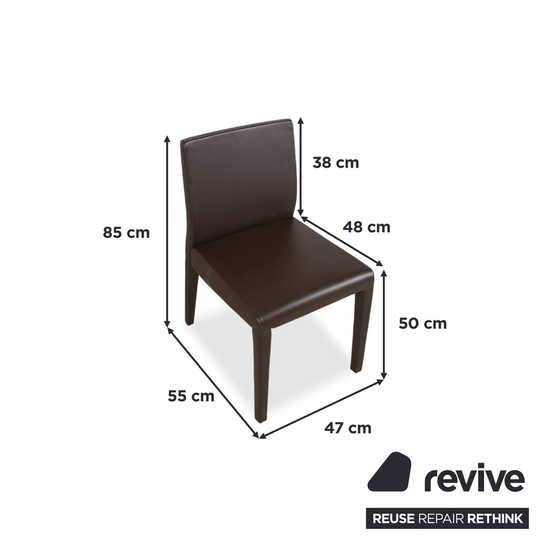 Rolf Benz 6er Garnitur Stühle Leder Braun Mokka