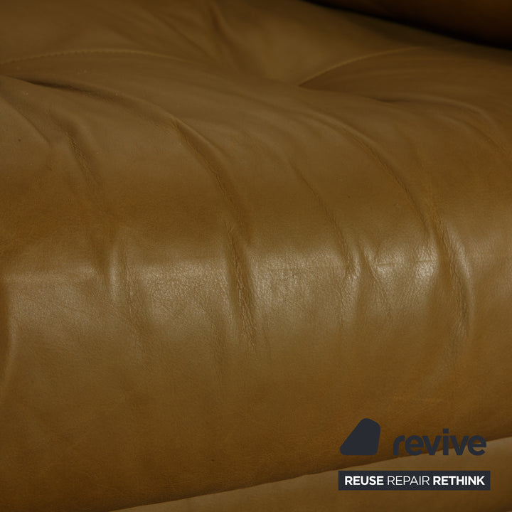 Willi Schillig sofy Leder Zweisitzer Olivgrün Sofa Couch