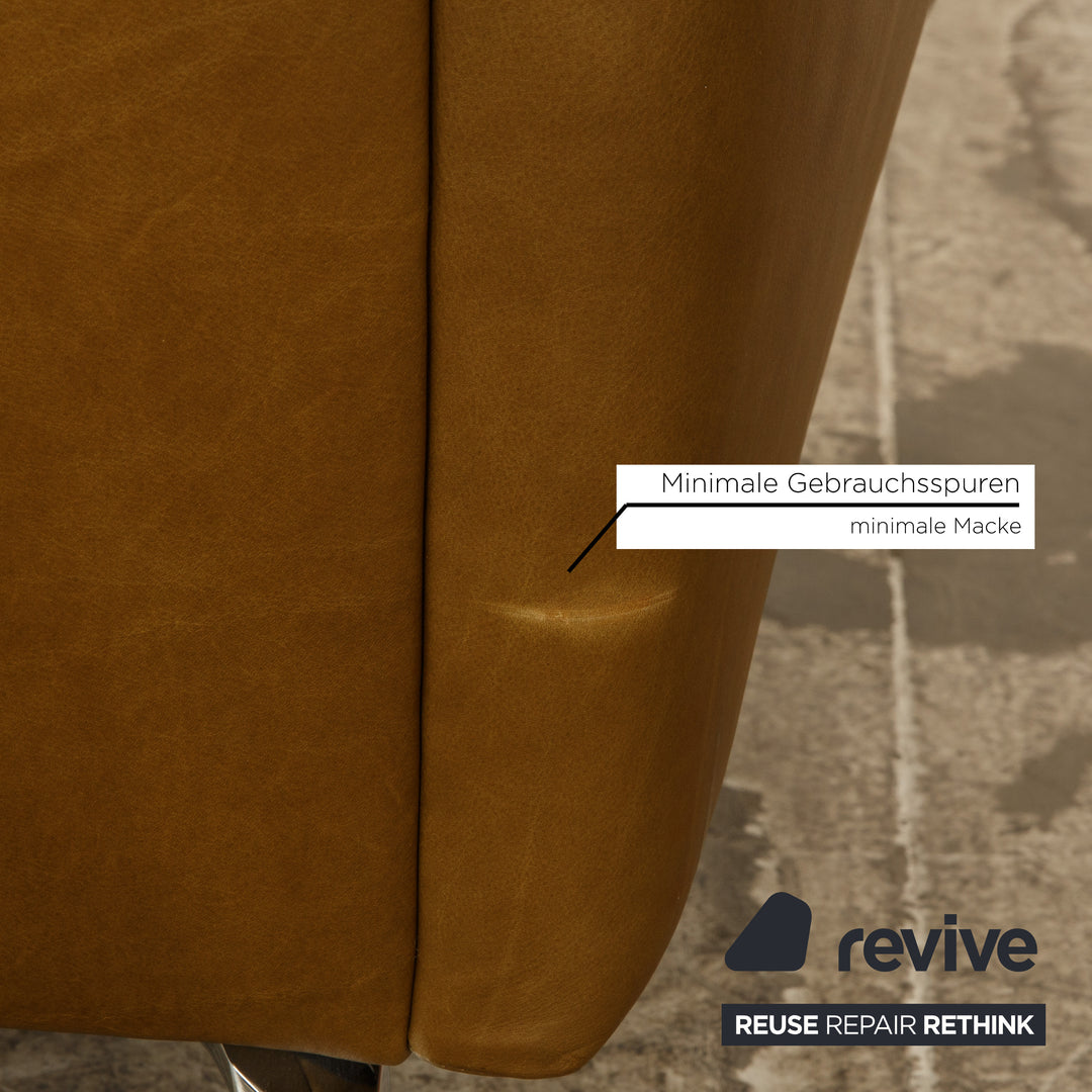Willi Schillig sofy Leder Zweisitzer Olivgrün Sofa Couch