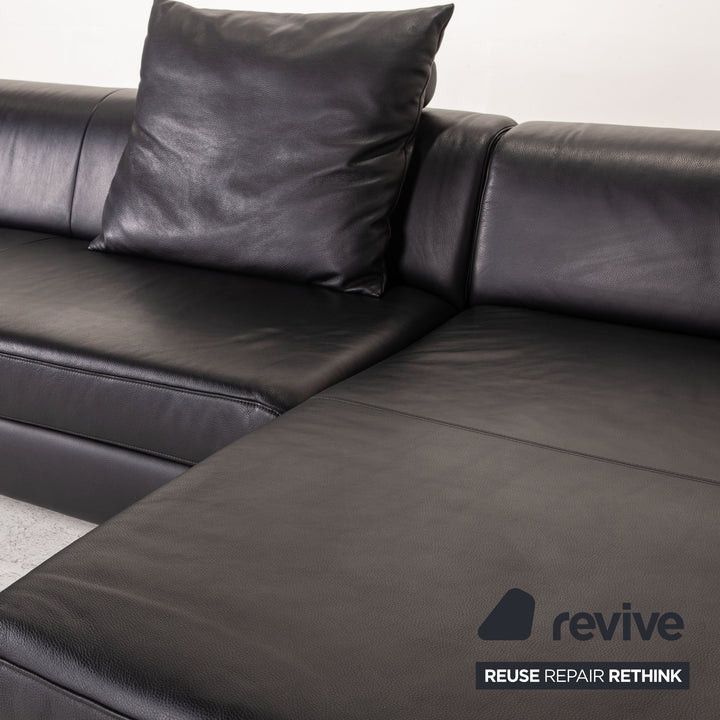 Ewald Schillig Loft Leder Sofa Schwarz Ecksofa Couch
