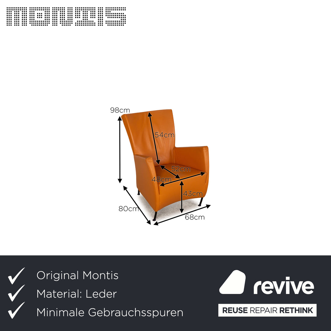 Montis Windy Leather Armchair Orange